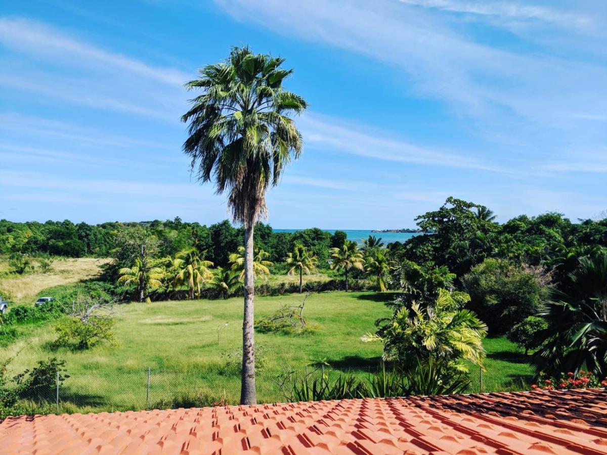 Papeth House Villa Le Francois Luaran gambar